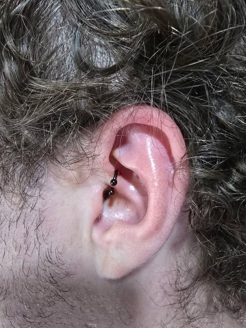 Piercing daith con barra curva